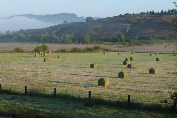 oregon-lhp-60_crop.jpg